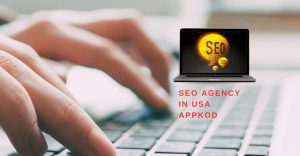 seo agency in usa appkod